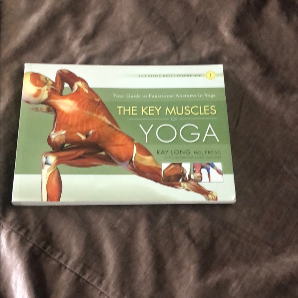 The Key Muscles of Yoga